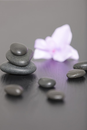 Pile of three spa stones with a purple Orchid flower headの写真素材