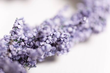 Detail of fresh lavender buds on a light wooden surfaceの写真素材