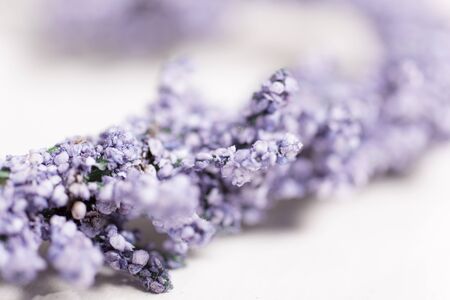 Detail of fresh lavender buds on a light wooden surfaceの写真素材