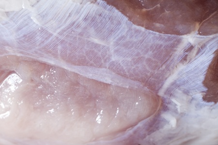 raw meatの写真素材