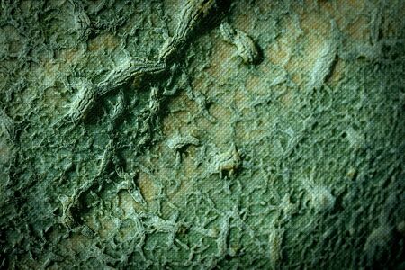 old cracked backgroundの写真素材