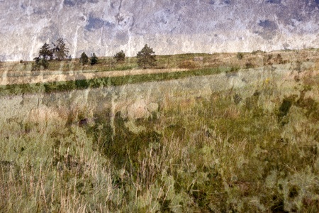 field