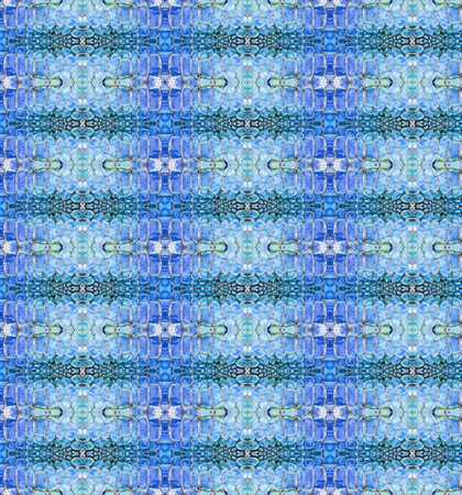 snake skinの写真素材