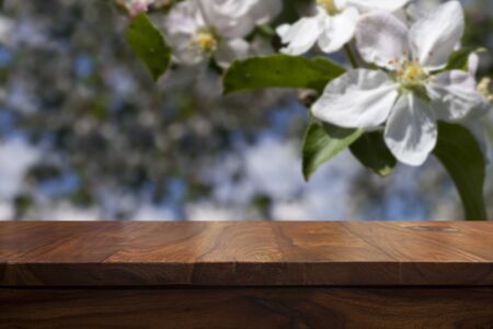 Empty top wooden table and floral blurred backgroundの写真素材
