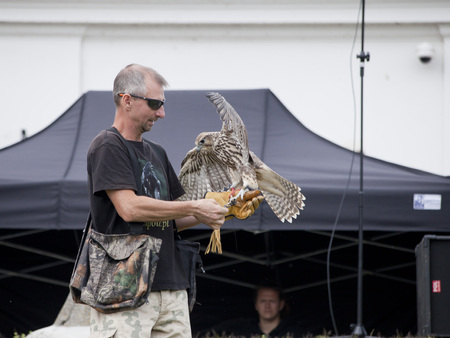 LIW, POLAND - September 13, 2016: Falcon hunting show on XV Knights tournament in LIW, Polandのeditorial素材
