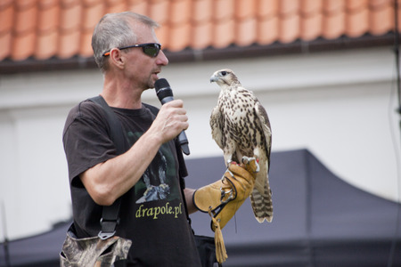 LIW, POLAND - September 13, 2016: Falcon hunting show on XV Knights tournament in LIW, Polandのeditorial素材