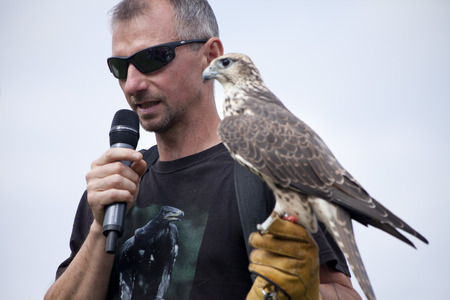 LIW, POLAND - September 13, 2016: Falcon hunting show on XV Knights tournament in LIW, Polandのeditorial素材