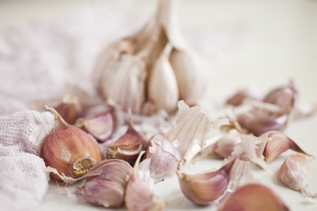 Bulbs of garlic- on bright backgroundの写真素材