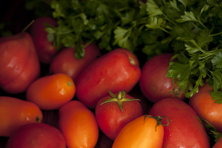 Colorful organic tomatoesの写真素材