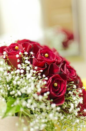 rosesの写真素材