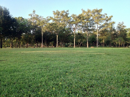 Garden の素材