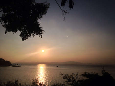 Gold skyの素材