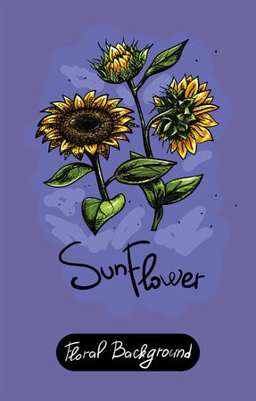 Vector set of painted flowers. Floral background. Sun flower colorのイラスト素材