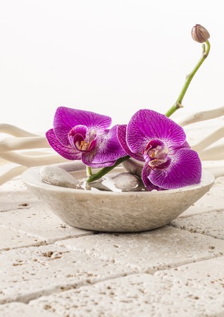 Cup of orchid flowers for beauty treatmentの写真素材