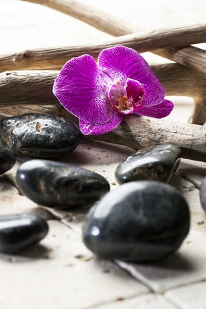 Zen pebbles with pink orchid for beauty atmosphereの写真素材