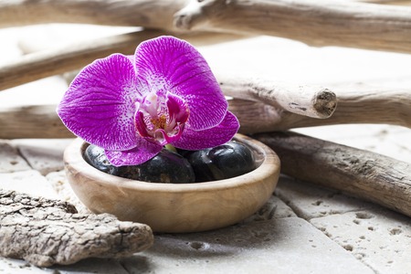 black pebbles and orchids for the concept of natural beauty treatmentの写真素材
