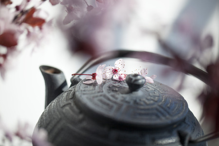 traditional Japanese teapot with cherry blossom flowers for zen and relaxationの写真素材