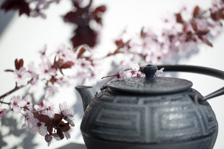 traditional Japanese teapot with cherry blossom flowers for zen and relaxationの写真素材