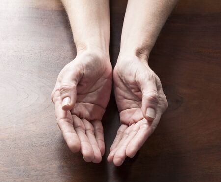 talking hands concept - empty female hands holding something round to give on wooden table,studio...