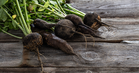 mix of cracked organic round and long black radishes with fresh green tops and roots on old wood background for sustainable farming, studio shotの写真素材