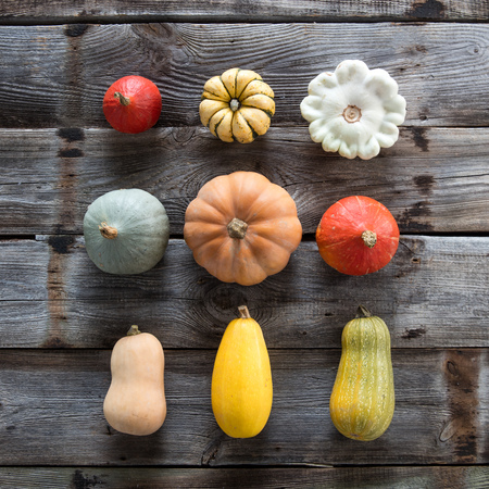 collection of beautiful colorful seasonal organic pumpkins, acorns, blue and kuri squashes for...