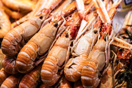 assortment of big fresh prawns or jumbo shrimps from the ocean for crustaceans and gourmet seafood at the fish shopの写真素材