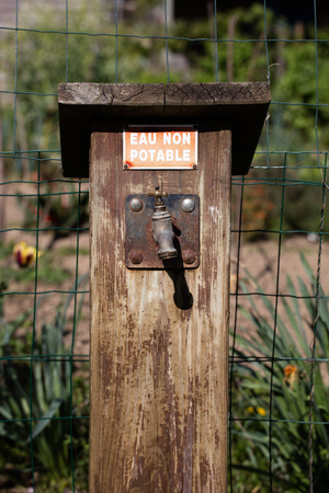 old fashioned outdoor rusted faucet for non drinkable water in home-made wooden box with country-style flowery allotment background, French written warning signの写真素材