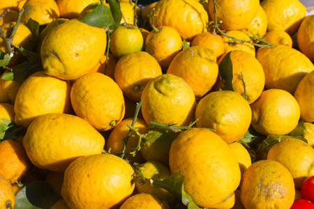 closeup of big yellow lemons at fruit market in sunny winter timeの写真素材