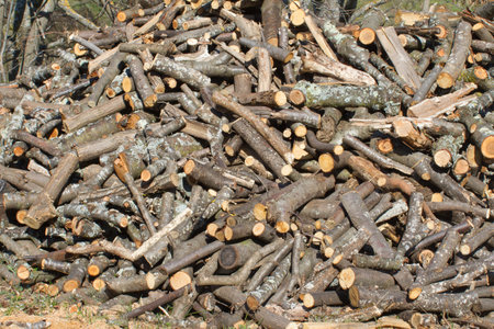 stack of cut wood and rustic logs piled up in the countryside for house heating energy under a sunny daylightの写真素材