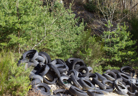 illegal tire landfill in the middle of forest of pine tree under a sunny dayの写真素材