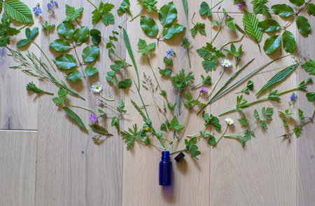 explosion of springtime nature made of garden leaves and flowers in and out from a fragrance bottle for perfume or environment over wooden background, flat lay designの写真素材