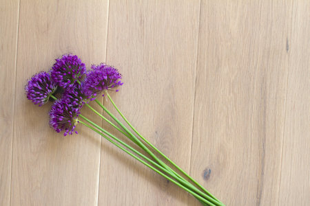 fresh garden bouquet of big chives flowers and stems for organic gardening or gift of nature, copy space over light wooden backgroundの写真素材