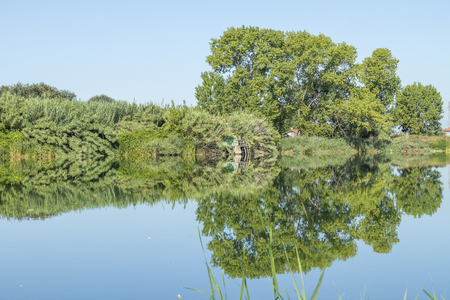 Lake in Tuscany with clear reflection in the dayの写真素材