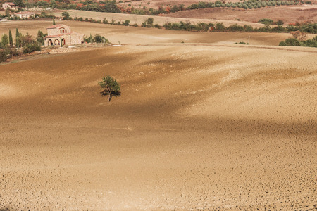 Field of plowed land with farmhouse and lonely treeの写真素材