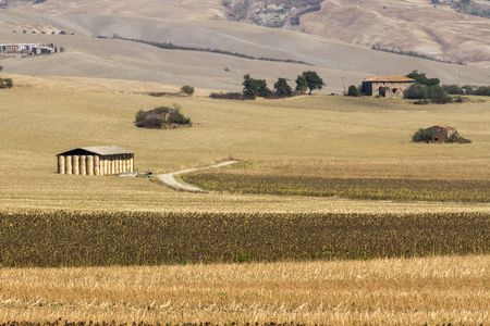 Wheat field farmの写真素材