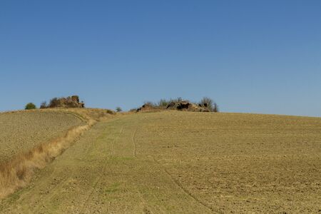 campo coltivato con rudereの写真素材