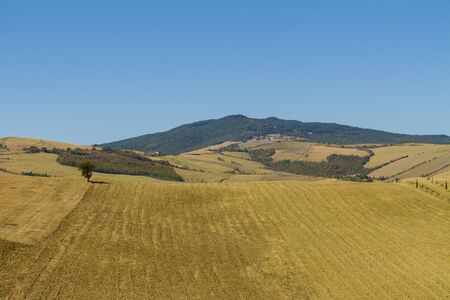 panorama rupestre con alberoの写真素材