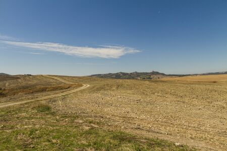 panorama di campagna toscana con stradina sterrataの写真素材