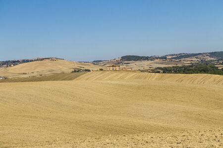 campagna toscana in provincia di sienaの写真素材