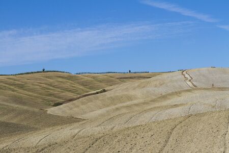 Paesaggio di campagna in Toscanaの写真素材