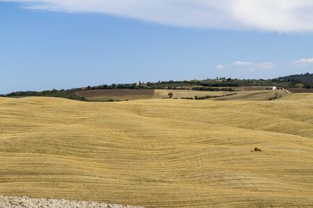 campagna toscana di fine estateの写真素材