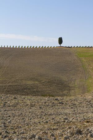 campagna toscana di fine estateの写真素材