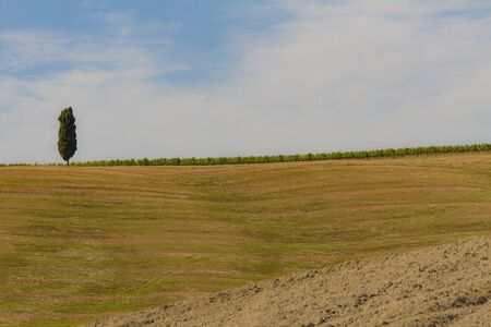 campagna toscana di fine estateの写真素材
