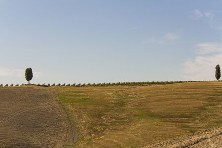 campagna toscana di fine estateの写真素材