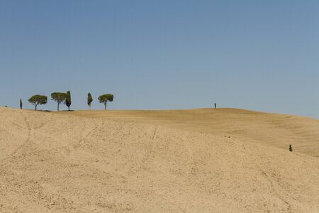 campagna toscana di fine estateの写真素材