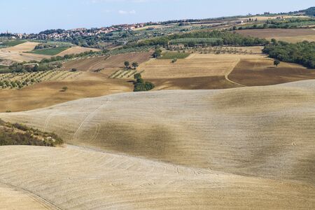 Paesaggio di campagna in Toscanaの写真素材