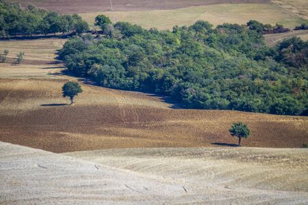 Paesaggio di campagna in Toscanaの写真素材