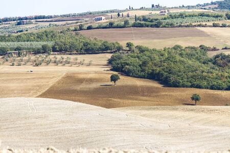 Paesaggio di campagna in Toscanaの写真素材