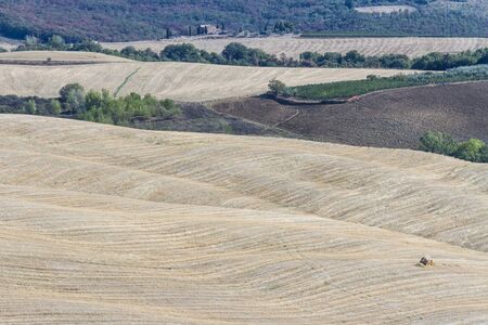 Paesaggio di campagna in Toscanaの写真素材