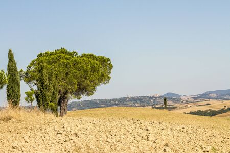 Paesaggio di campagna in Toscanaの写真素材